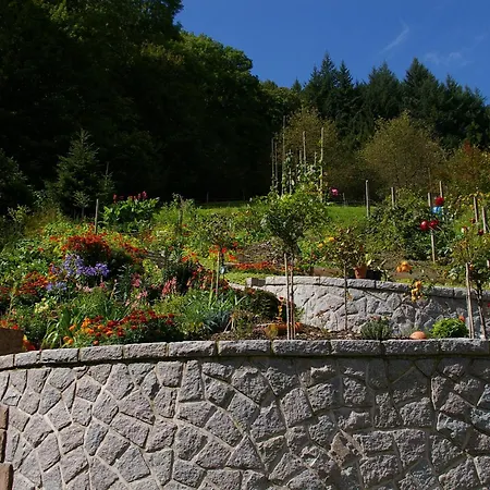 Haus Anna Sendelbach